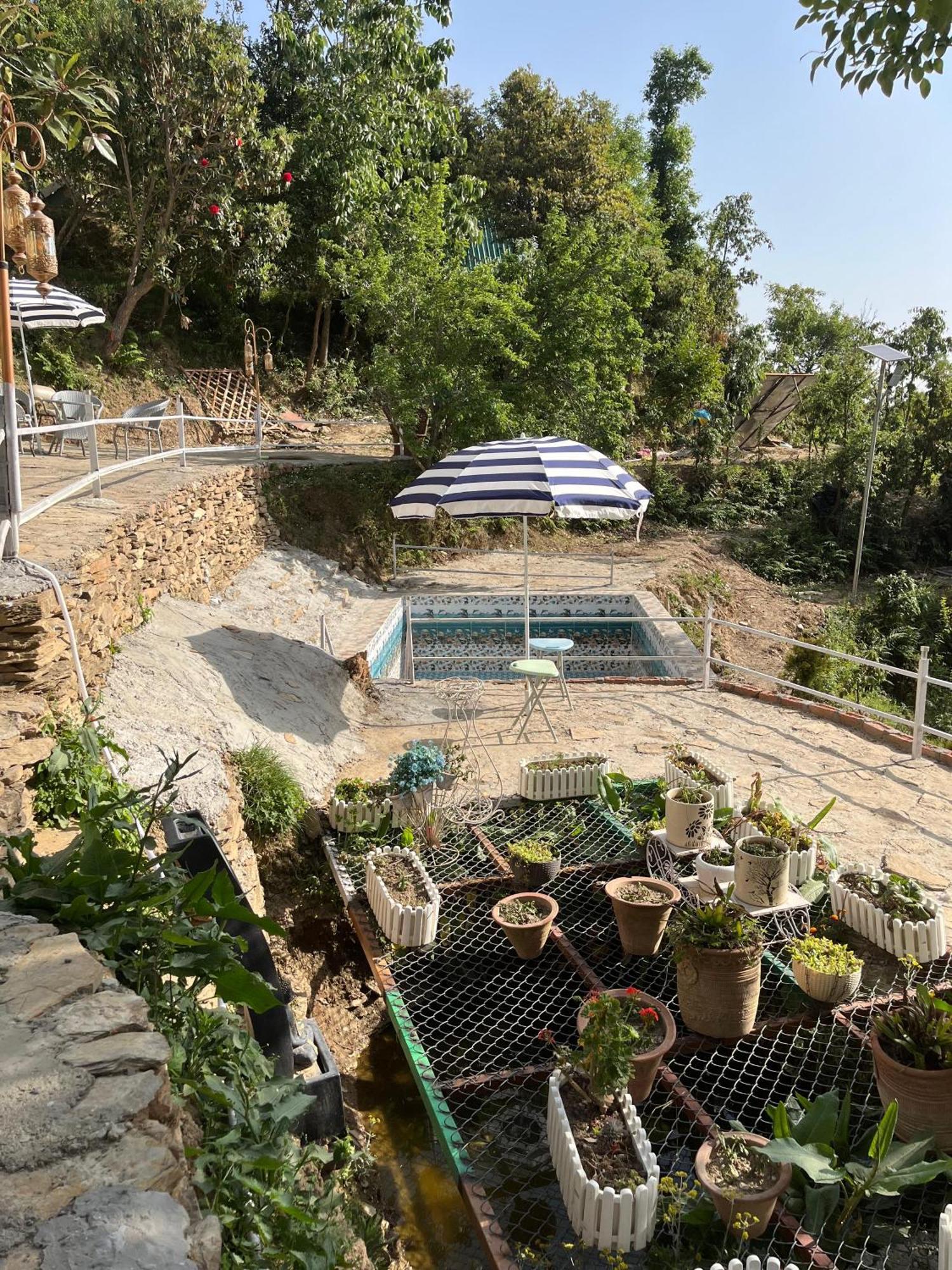 The Rare One'S Mukteshwar - Resort & Cafe Zewnętrze zdjęcie